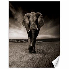 Elephant Black And White Animal Canvas 12  X 16   by Celenk