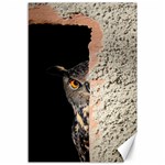 Owl Hiding Peeking Peeping Peek Canvas 12  x 18   11.88 x17.36  Canvas - 1