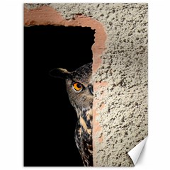 Owl Hiding Peeking Peeping Peek Canvas 36  X 48   by Celenk