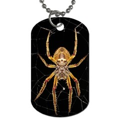 Insect Macro Spider Colombia Dog Tag (two Sides) by BangZart