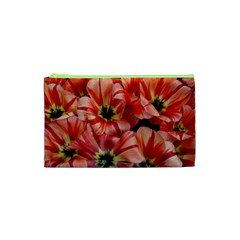 Tulips Flowers Spring Cosmetic Bag (xs) by BangZart