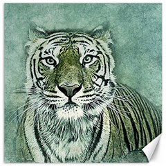 Tiger Cat Art Abstract Vintage Canvas 12  X 12   by Celenk