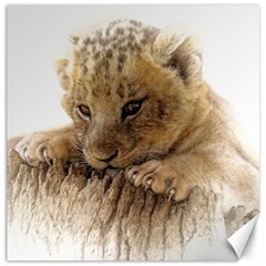 Lion Cub Close Cute Eyes Lookout Canvas 16  X 16   by Celenk