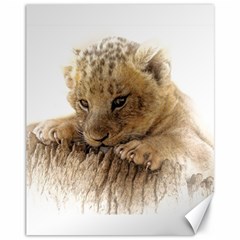 Lion Cub Close Cute Eyes Lookout Canvas 11  X 14   by Celenk