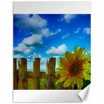 Sunflower Summer Sunny Nature Canvas 12  x 16   11.86 x15.41  Canvas - 1