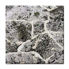 Coquina Shell Limestone Rocks Tile Coasters by Nexatart