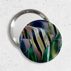 Angelfish 1 2 25  Handbag Mirrors by trendistuff