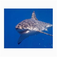 Great White Shark 5 Small Glasses Cloth (2-side) by trendistuff