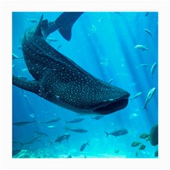 Whale Shark 2 Medium Glasses Cloth by trendistuff