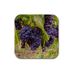 Grapes 4 Rubber Square Coaster (4 Pack)  by trendistuff