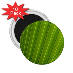 Green Leaf Pattern Plant 2 25  Magnets (10 Pack)  by Sapixe