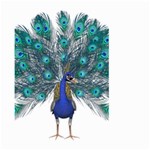 Peacock Bird Peacock Feathers Large Garden Flag (Two Sides) Front