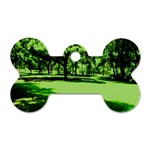 Lake Park 13 Dog Tag Bone (Two Sides) Front