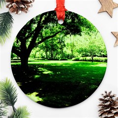 Lake Park 14 Ornament (round) by bestdesignintheworld