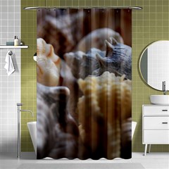 Seashells Shower Curtain 48  X 72  (small)  by StarvingArtisan