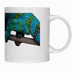 Reptile Lizard Animal Isolated White Mugs Right