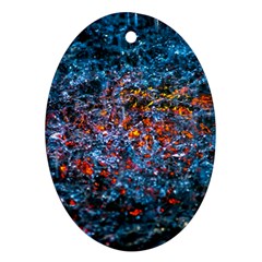 Water Color Orange Ornament (oval) by FunnyCow