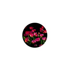 Pink Tulips Dark Background 1  Mini Buttons by FunnyCow