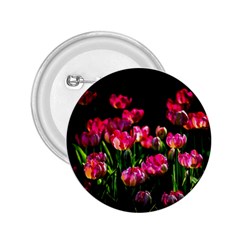 Pink Tulips Dark Background 2 25  Buttons by FunnyCow