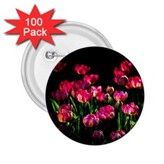 Pink Tulips Dark Background 2 25  Buttons (100 Pack)  by FunnyCow