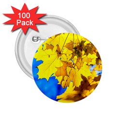 Yellow Maple Leaves 2 25  Buttons (100 Pack)  by FunnyCow