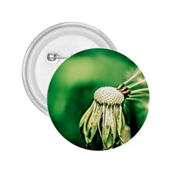 Dandelion Flower Green Chief 2 25  Buttons by FunnyCow