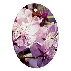 Sakura In The Shade Oval Ornament (two Sides) by FunnyCow