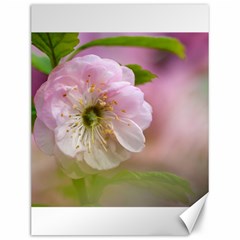 Single Almond Flower Canvas 12  X 16   by FunnyCow