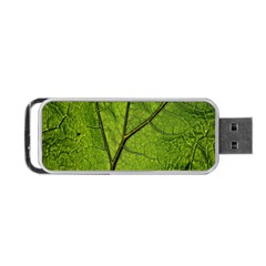 Butterbur Leaf Plant Veins Pattern Portable Usb Flash (one Side) by Sapixe