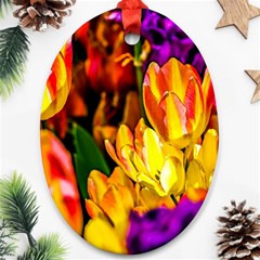 Fancy Tulip Flowers In Spring Oval Ornament (two Sides) by FunnyCow