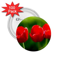 Three Red Tulips, Green Background 2 25  Buttons (100 Pack)  by FunnyCow