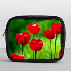 Red Tulip Flowers, Sunny Day Mini Toiletries Bag (one Side) by FunnyCow