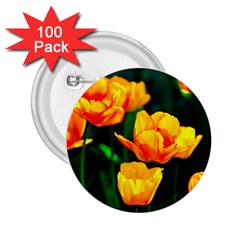 Yellow Orange Tulip Flowers 2 25  Buttons (100 Pack)  by FunnyCow