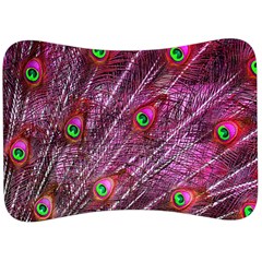 Peacock Feathers Color Plumage Velour Seat Head Rest Cushion by Sapixe