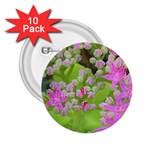 Hot Pink Succulent Sedum With Fleshy Green Leaves 2.25  Buttons (10 pack)  Front