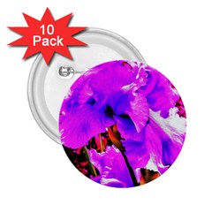 Abstract Ultra Violet Purple Iris On Red And Pink 2 25  Buttons (10 Pack)  by myrubiogarden