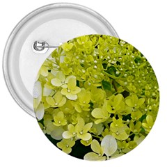 Elegant Chartreuse Green Limelight Hydrangea Macro 3  Buttons by myrubiogarden