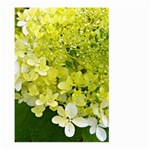 Elegant Chartreuse Green Limelight Hydrangea Macro Large Garden Flag (Two Sides) Front