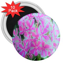 Hot Pink And White Peppermint Twist Garden Phlox 3  Magnets (10 Pack)  by myrubiogarden