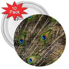 Peacock Feathers Color Plumag 3  Buttons (10 Pack)  by Wegoenart