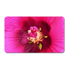 Deep Pink And Crimson Hibiscus Flower Macro Magnet (rectangular) by myrubiogarden