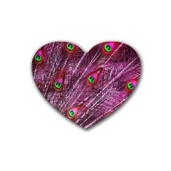 Red Peacock Feathers Color Plumage Heart Coaster (4 Pack)  by Pakrebo