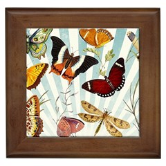 My Butterfly Collection Framed Tiles by WensdaiAmbrose