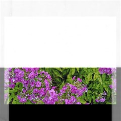 Stratford Garden Phlox Rectangular Jigsaw Puzzl by Riverwoman