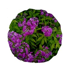 Stratford Garden Phlox Standard 15  Premium Flano Round Cushions by Riverwoman