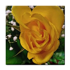 Yellow Rose Tile Coasters by Riverwoman