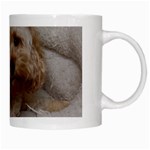 Cockapoo In Dog s Bed White Mugs Right