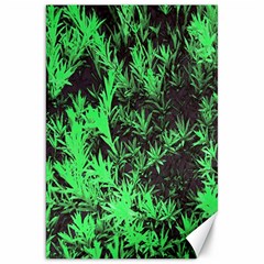 Green Etched Background Canvas 20  X 30  by Sudhe