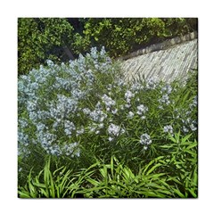 Lurie Garden Amsonia Tile Coasters by Riverwoman