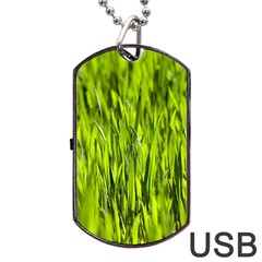 Agricultural Field   Dog Tag Usb Flash (two Sides) by rsooll